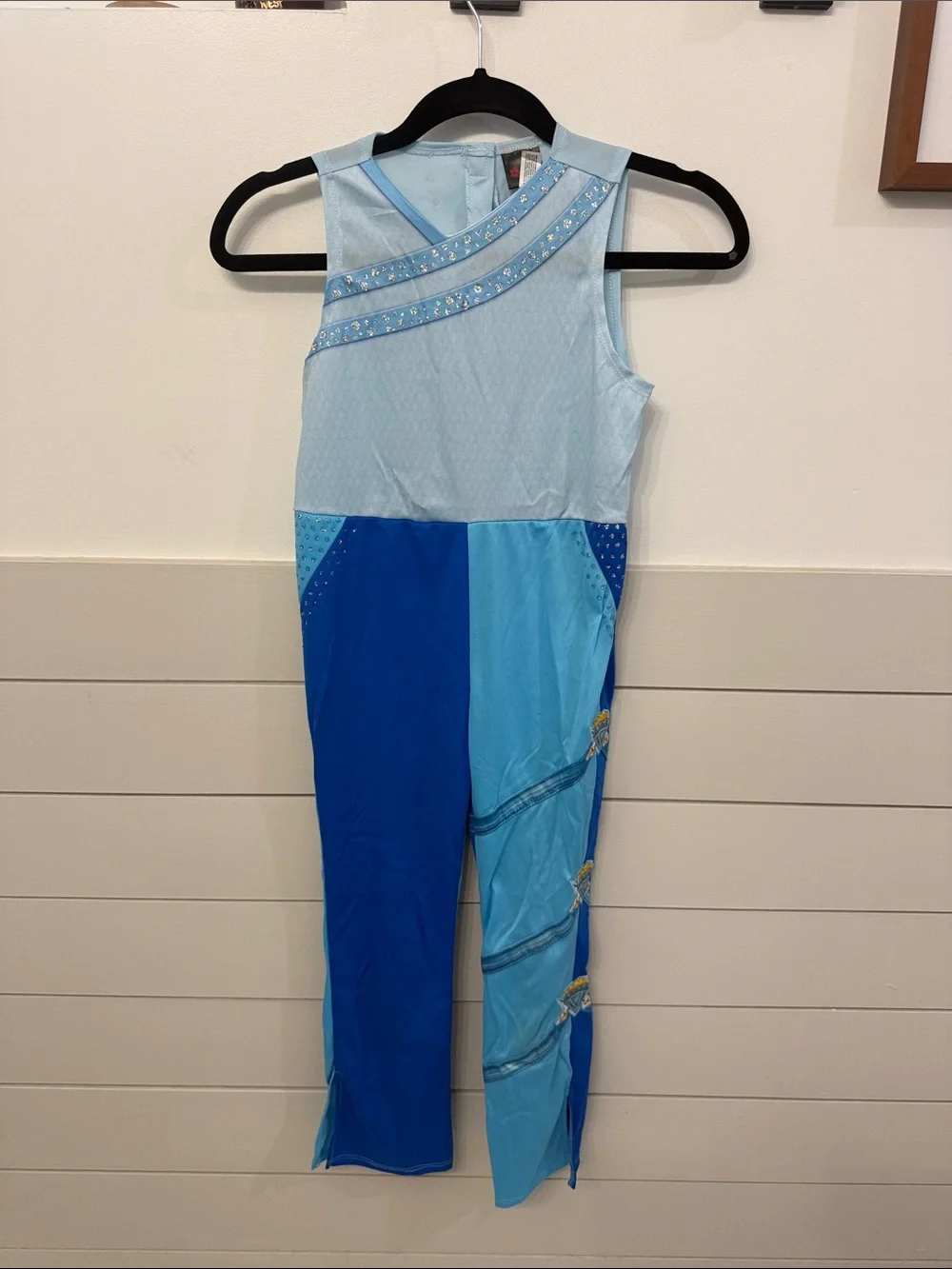 Disney’s Decedents Chloe Costume size Small